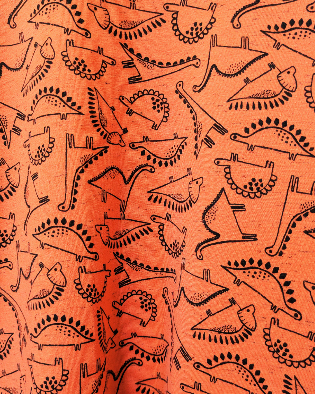 Rust Dinosaurs Boxy Top Size 12 - 14